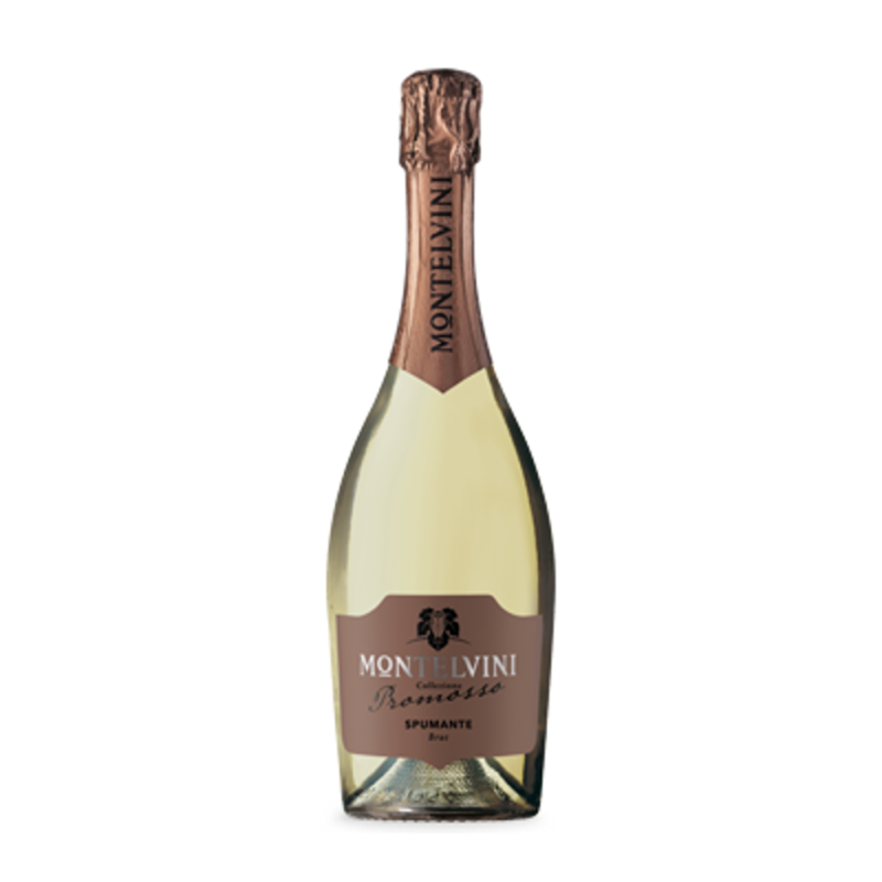 Вино montelvini prosecco. Вино Монтельвини Просекко. Вино Спуманте Просекко. Просекко Montelvini Extra Dry. Просекко Спуманте брют.